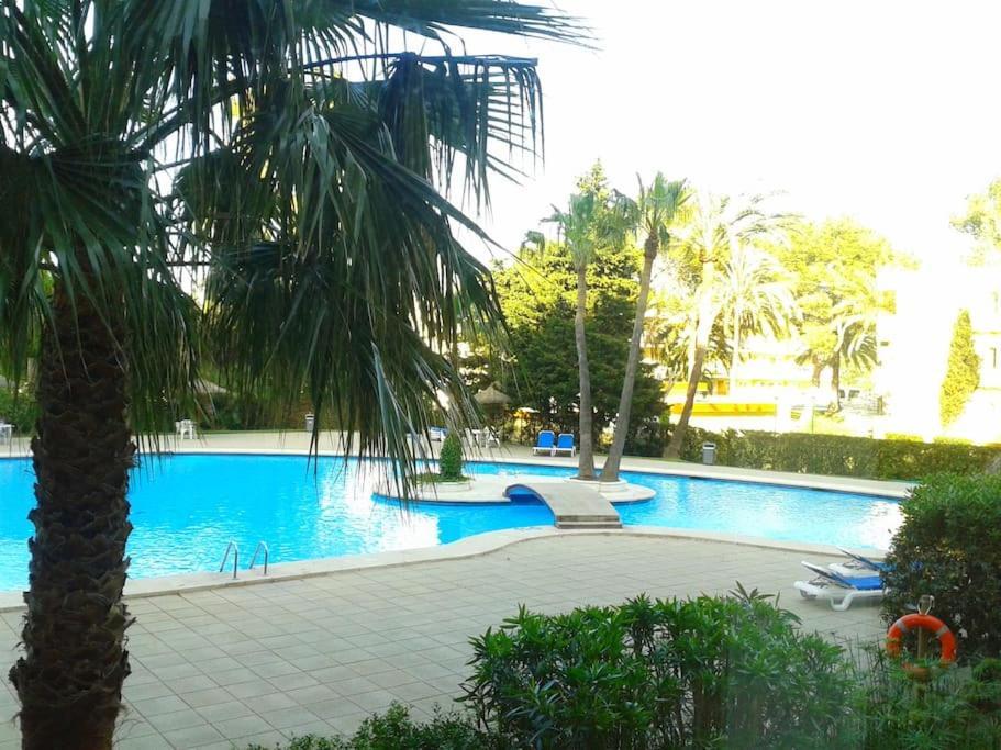 阿尔库迪亚港Piso Moderno Con Piscina Siesta 2公寓 外观 照片