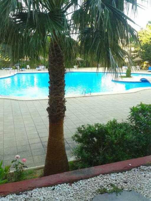 阿尔库迪亚港Piso Moderno Con Piscina Siesta 2公寓 外观 照片