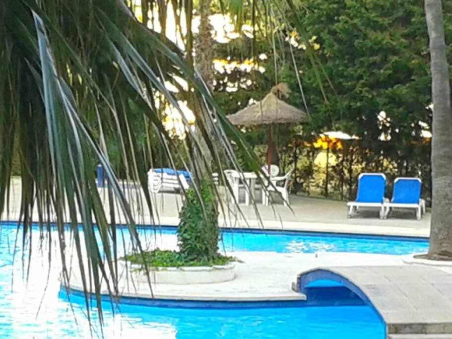 阿尔库迪亚港Piso Moderno Con Piscina Siesta 2公寓 外观 照片